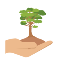 ge träd händer håller gröna träd naturmiljö naturskydd png