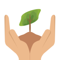 main en portant donnant arbre plante la vie vert la nature png