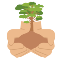 geben baum hände halten grüne bäume natürliche umwelt naturschutz png