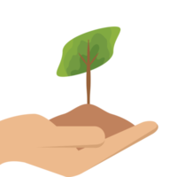 uno mano participación árbol planta vida verde naturaleza png