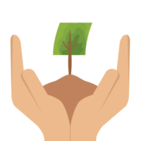 mão segurando dando árvore plantar vida verde natureza png