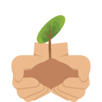Two Hand Holding Giving Tree Plant Nature Life Green png