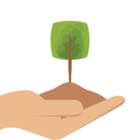 One Hand Holding Tree Plant Life Green Nature png