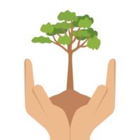 dar árbol manos sostener árboles verdes entorno natural protección de la naturaleza png