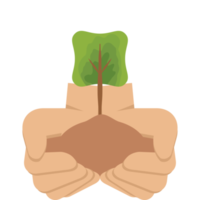 dos mano participación dando árbol planta naturaleza vida verde png