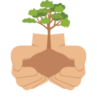dar árbol manos sostener árboles verdes entorno natural protección de la naturaleza png