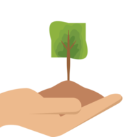 uno mano participación árbol planta vida verde naturaleza png