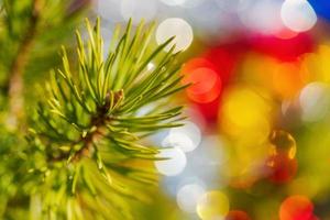 Close-up of Christmas pine tree branch with needles. Xmas ornament decorations for Happy New Year photo