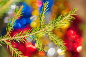 Close-up view of evergreen Christmas pine tree branch with needles on background colorful blurred bokeh festive Xmas ornament photo
