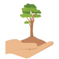 boom geven handen vasthouden groene bomen natuurlijke omgeving natuurbescherming png