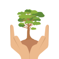 geben baum hände halten grüne bäume natürliche umwelt naturschutz png