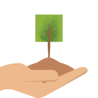 uno mano participación árbol planta vida verde naturaleza png