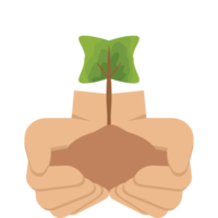 dos mano participación dando árbol planta naturaleza vida verde png