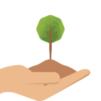 uno mano participación árbol planta vida verde naturaleza png