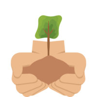 deux main en portant donnant arbre plante la nature la vie vert png