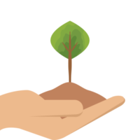 One Hand Holding Tree Plant Life Green Nature png