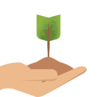 uno mano participación árbol planta vida verde naturaleza png