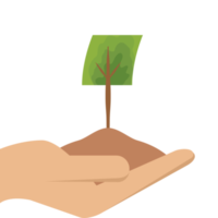 uno mano participación árbol planta vida verde naturaleza png