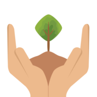 Hand Holding Giving Tree Plant Life Green Nature png