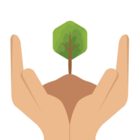 mão segurando dando árvore plantar vida verde natureza png
