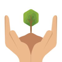 mano participación dando árbol planta vida verde naturaleza png