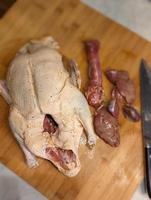 exotic duck prepped for cooking photo