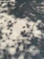 Light shadow leaves on wall texture background photo