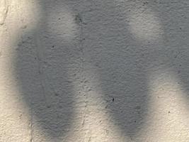 Light shadow leaves on wall texture background photo