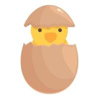 Family chicken icon cartoon vector. Baby chick vector