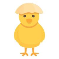 amarillo pollo icono dibujos animados vector. polluelo bebé vector
