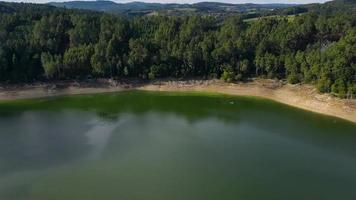 lugn sjö omgiven förbi frodig grönska skönhet i natur video