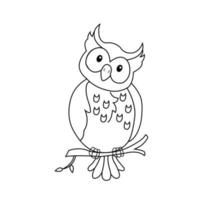 Vector hand drawn owl outline illustration art