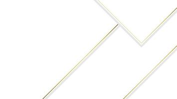 simple white background with gold line vector