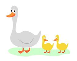 Farm birds geese. Goose and gosling. White duck cartoon duck vector