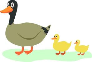 linda Pato en dibujos animados estilo. Pato y patitos colocar. linda madre Pato y amarillo bebés aves caminando en césped. granja animales, aves de corral, campo concepto vector