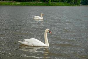 beautiful nature scenes around lake junaluska north carolina photo