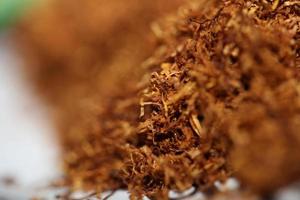 Rolling tobacco close up background big size high quality stock photos smoking self made cigarettes and joint