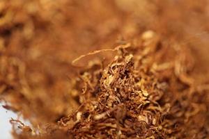 Rolling tobacco close up background big size high quality stock photos smoking self made cigarettes and joint