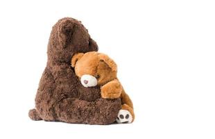 two teddy bear hugging isolated photo