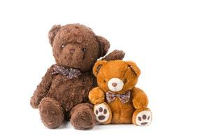 two teddy bear hugging isolated photo