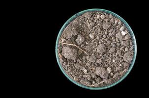 Dry soil in petri dish isolated on black background photo