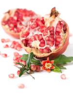 Pomegranate flower isolated photo