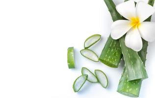 Aloe Vera sliced isolated photo