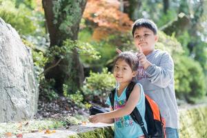 sister playing with her brother in park photo