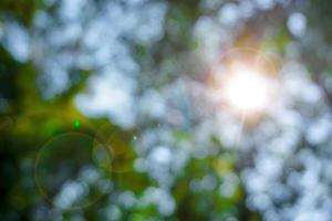 Look up view and blurred focus of trees and sun with lens flare background. photo