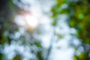 Look up view and blurred focus of trees and sun with lens flare background. photo