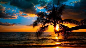 silueta de palmeras hermosa puesta de sol en el fondo de la playa del mar tropical para viajar en tiempo de relajación de vacaciones, foto