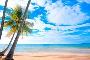 Tropical beach background as summe with palm tree on blue sky and white cloud for travel and vacation in holiday photo