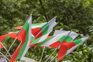 day view of many Bulgarian flags standing outdoor. Close photo
