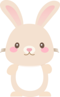 Pascua de Resurrección cubo conejito pequeño Conejo para fiesta diseño concepto. png